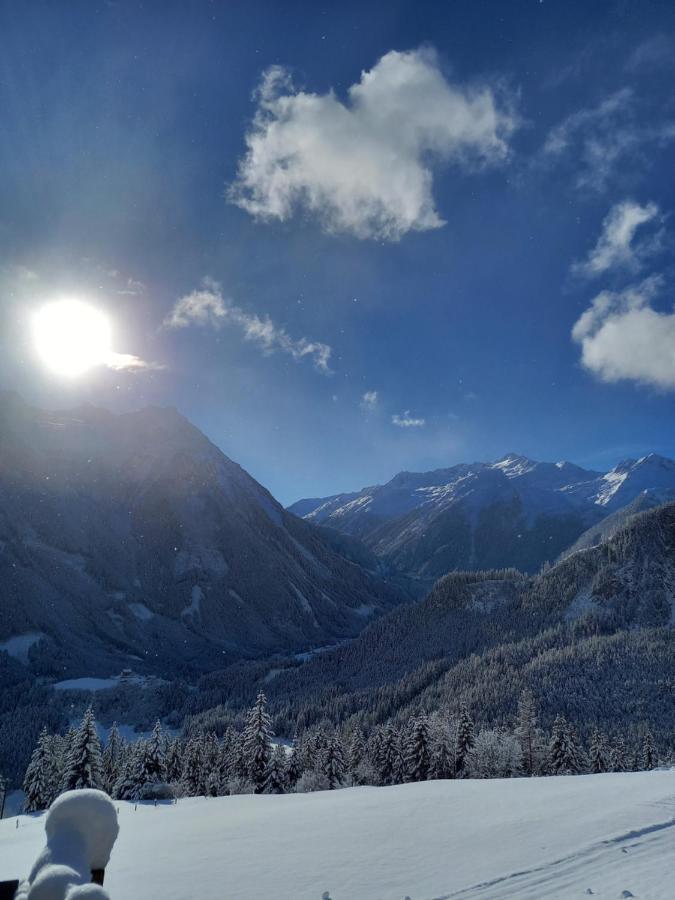 Appartement Reitlhof Wald im Pinzgau Eksteriør bilde
