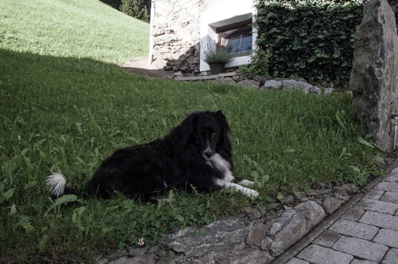 Appartement Reitlhof Wald im Pinzgau Eksteriør bilde